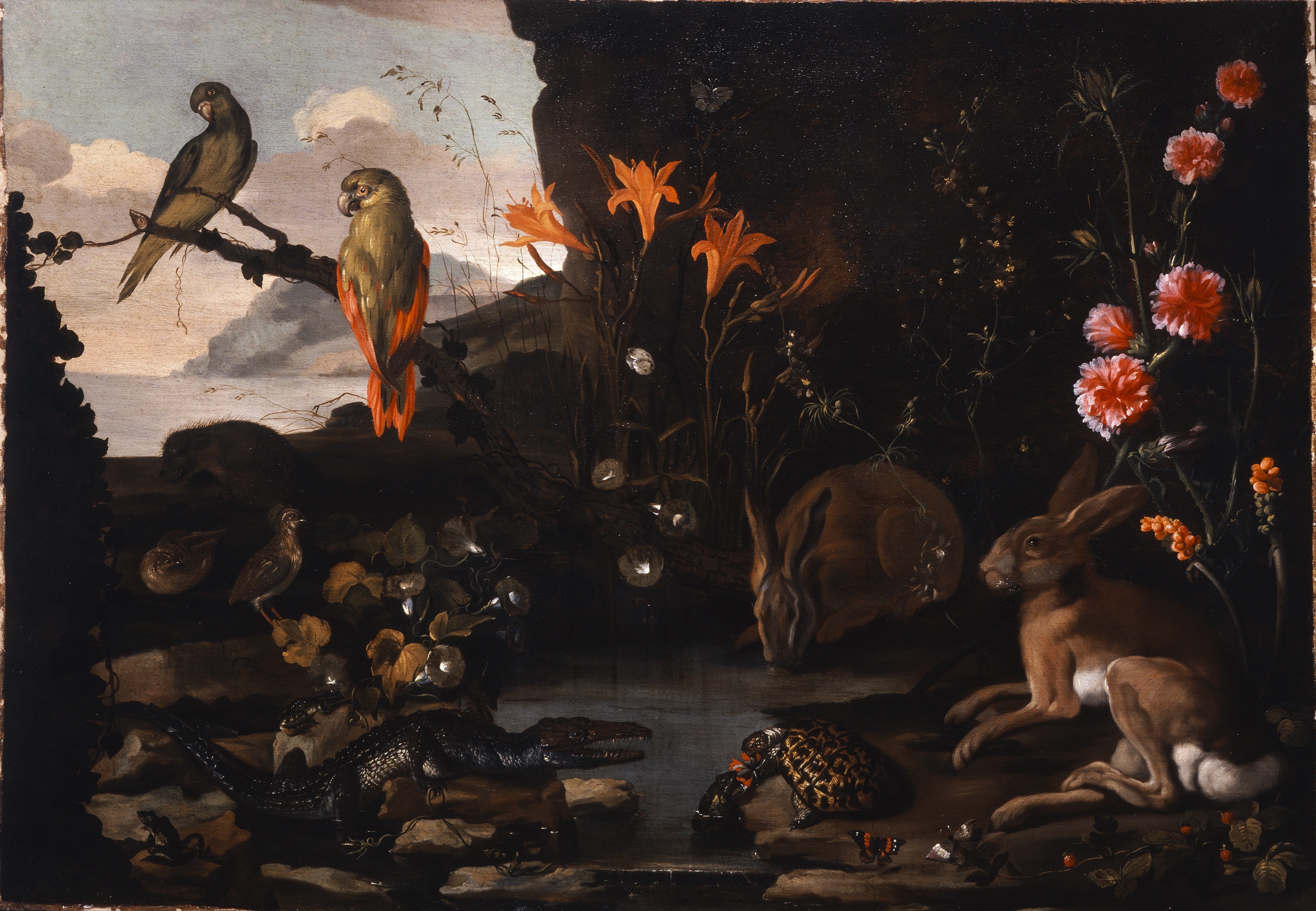 A Sottobosco fantasy of flora and fauna